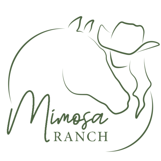 Safeguarding | Mimosa Horse Ranch | Cavalli e Monta Americana